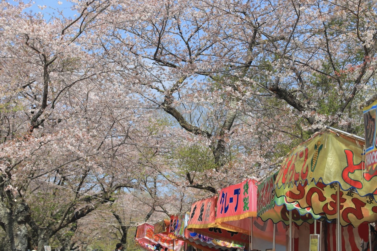 2026年 春まつり特集